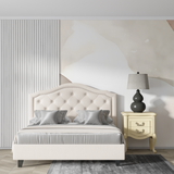 Abstract Mural Wallpaper | Organic Curved Lines in Beige