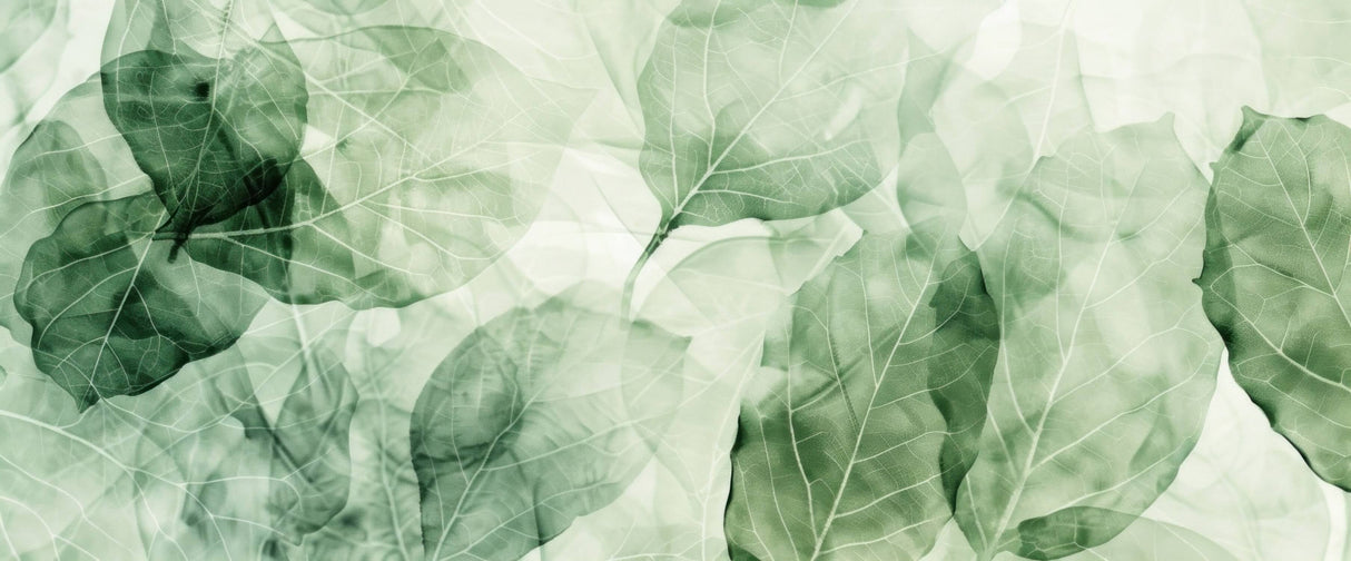 Foliage Mural Wallpaper | Ethereal Green Leaves Design