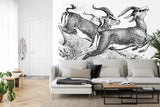 Wildlife Mural Wallpaper | Vintage Black and White Gazelle Sketch