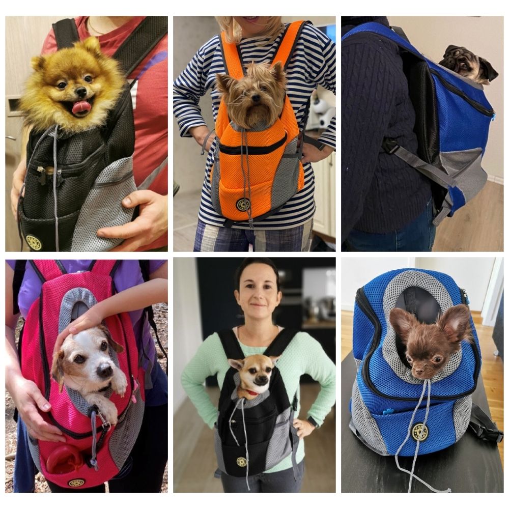 Pet Travel Backpack  Mesh Ventilated Carrier For Small Dogs - Product example