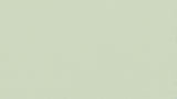 Sage Green Mural Wallpaper | Modern Minimalist Design