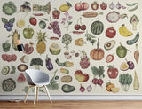 Kitchen Mural Wallpaper | Vintage Botanical Fruits and Vegetables