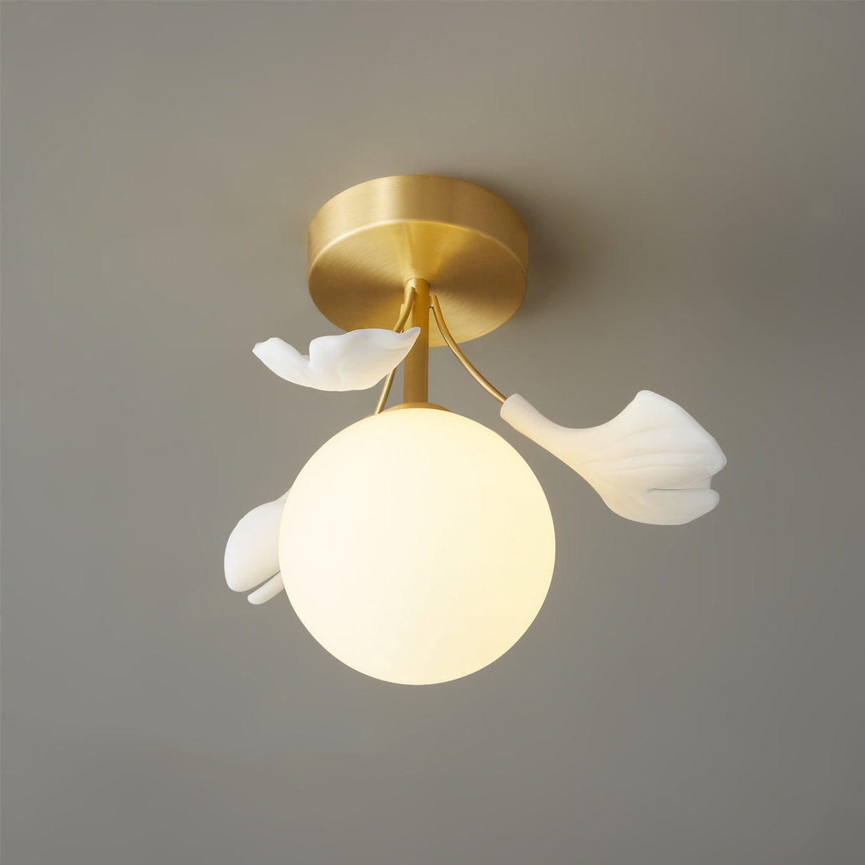 Botanical Ceiling Light  Ginkgo Leaf Glass Globe Design - Product detail 9