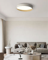 Modern LED Ceiling Light  Grey Metal Wood Accent - Product detail 16