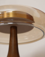 Modern LED Table Lamp  Walnut Wood Base With Glass Shade - Product detail 8