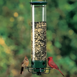 Squirrel Proof Bird Feeder  Weight Activated Anti Squirrel Design - Product showcase