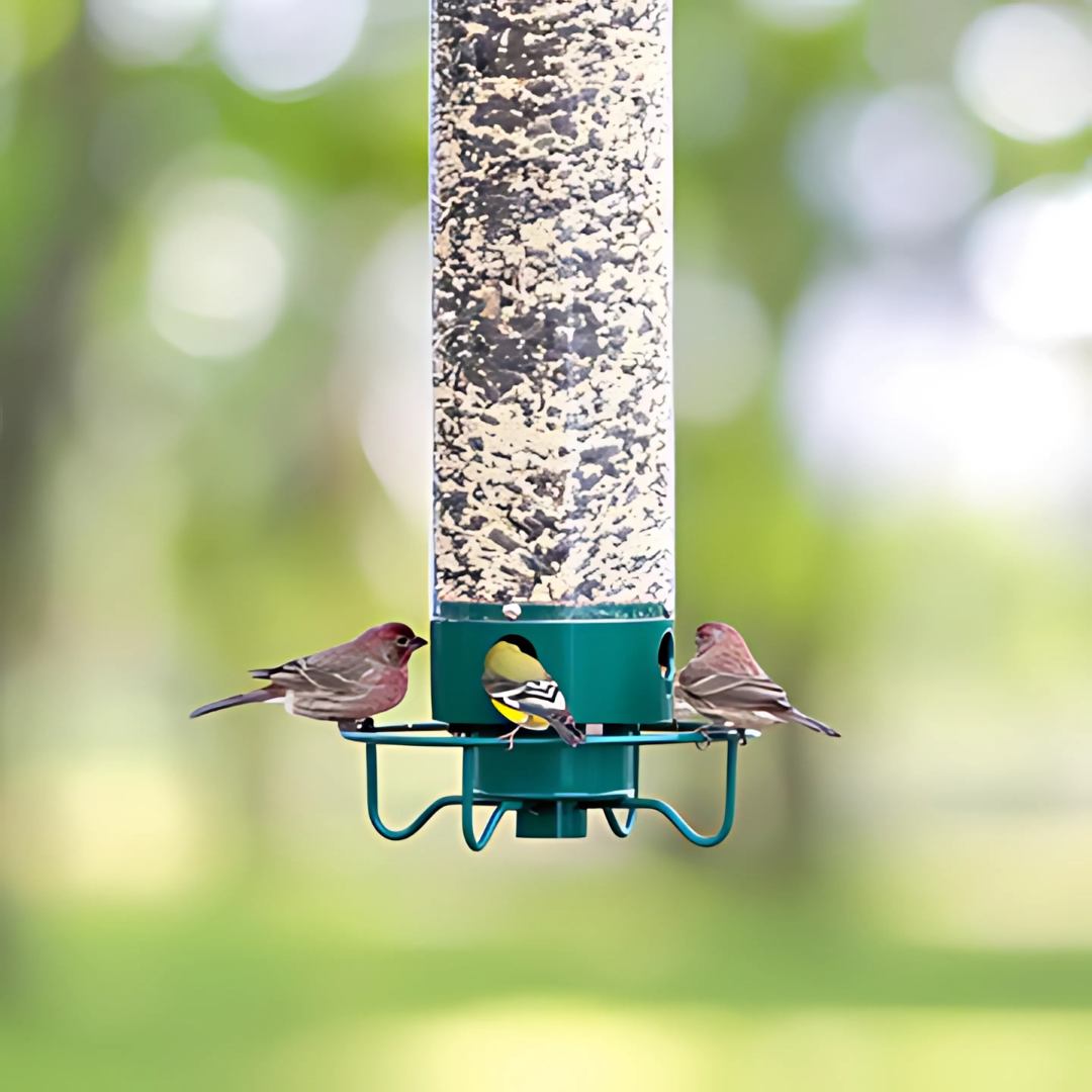 Squirrel Proof Bird Feeder  Rotating Perch Metal Design - Detailed view