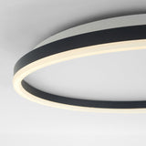 Modern LED Ceiling Light  Minimalist Ring Design - Product detail 12