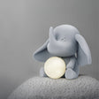 Decorative Elephant Table Lamp  Terracotta Resin Design - Product detail 42