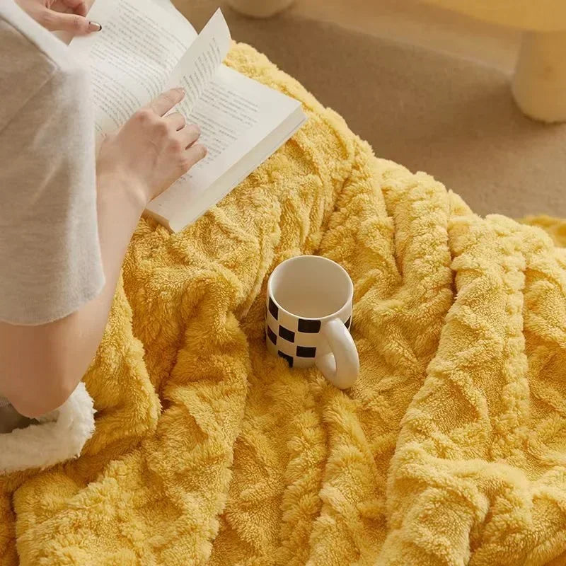 Double-Sided Winter Blanket  Lamb Wool Microfiber Flannel - Product example