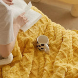 Double-Sided Winter Blanket  Lamb Wool Microfiber Flannel - Product example