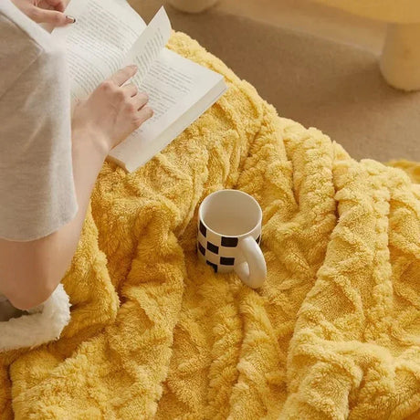 Double-Sided Winter Blanket  Lamb Wool Microfiber Flannel - Product example