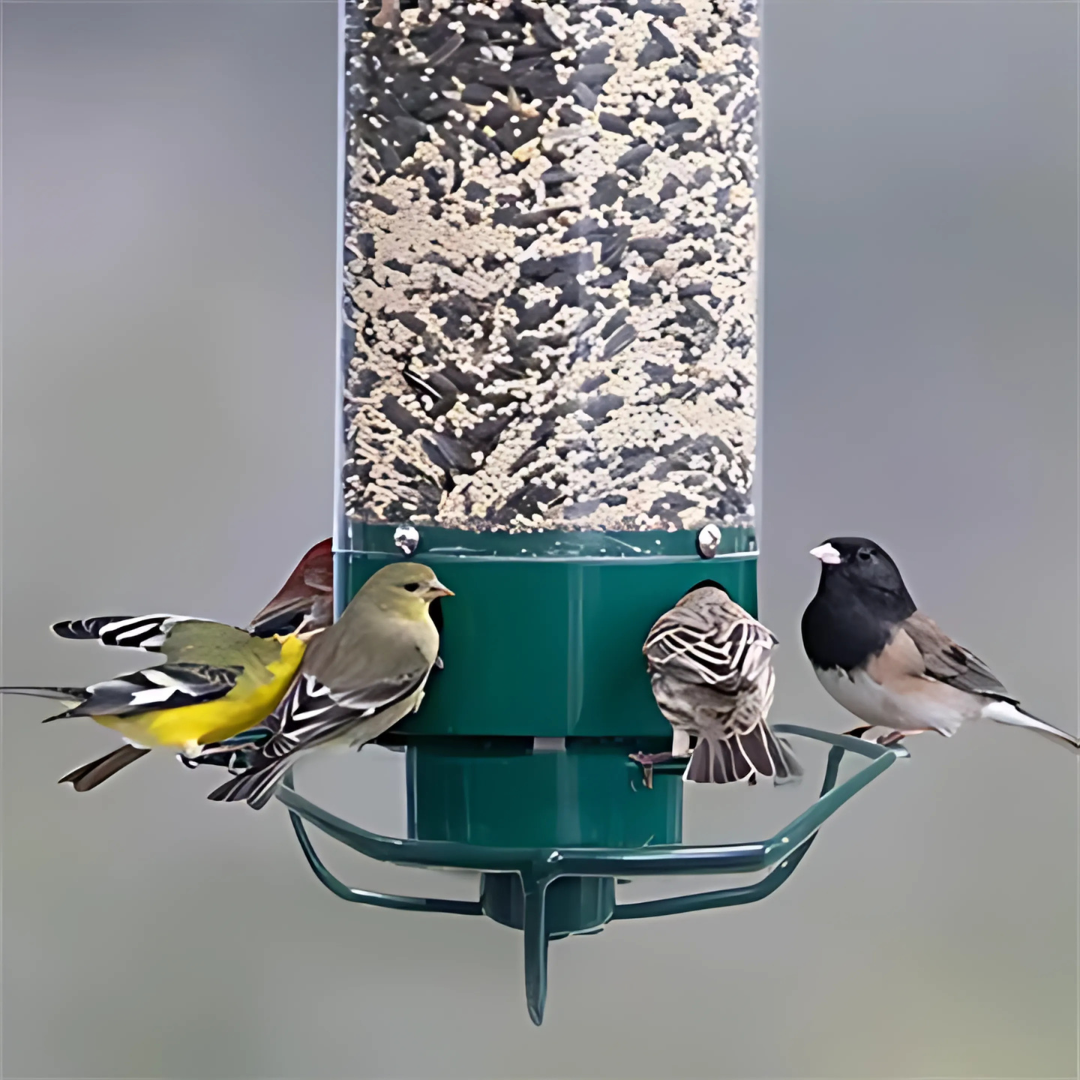 Wild Bird Feeder  Anti-Squirrel Spinning Perch Design - Product example