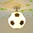 Basketball Ceiling Light  Sports LED Pendant Fixture - Product detail 5