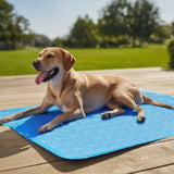 Pet Cooling Mat  Self-Cooling 3-Layer Design - Product example