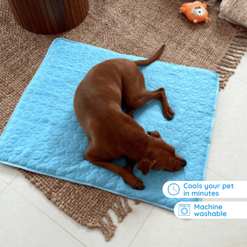 Pet Cooling Mat  Self-Cooling 3-Layer Design - Product detail 4
