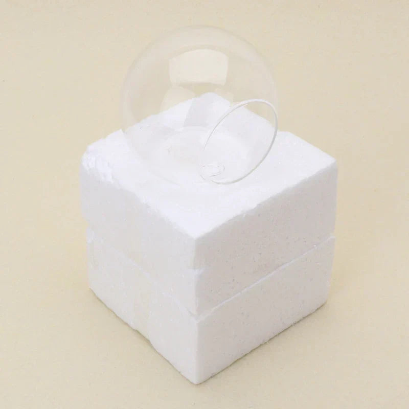 Wall Mounted Glass Vase  Hydroponic Plant Display - Product detail 6