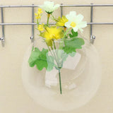 Wall Mounted Glass Vase  Hydroponic Plant Display - Product detail 5