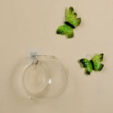 Wall Mounted Glass Vase  Hydroponic Plant Display - Product example