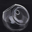 Wall Mounted Glass Vase  Hydroponic Plant Display - Product detail 8
