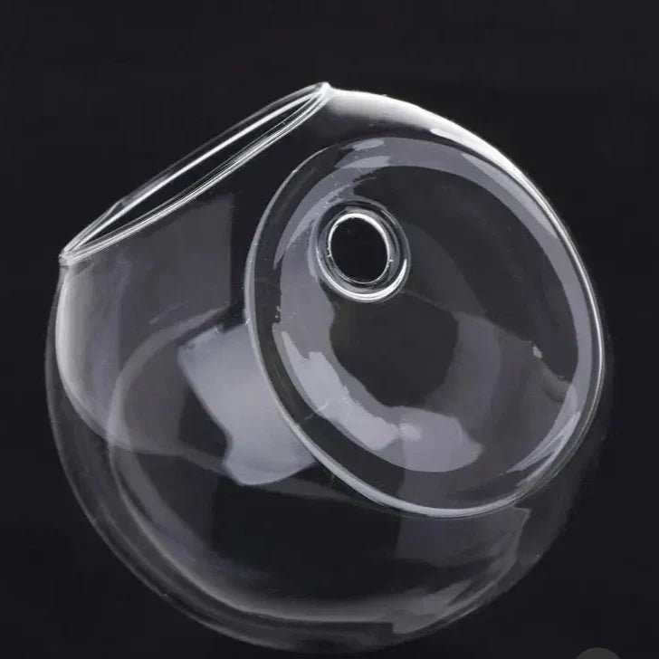 Wall Mounted Glass Vase  Hydroponic Plant Display - Product detail 8