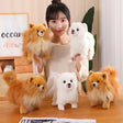 Plush Pomeranian Dog Toy  Realistic 12-Inch Stuffed Animal - Product showcase