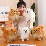 Plush Pomeranian Dog Toy  Realistic 12-Inch Stuffed Animal - Product showcase