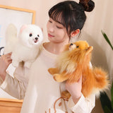 Plush Pomeranian Dog Toy  Realistic 12-Inch Stuffed Animal - Detailed view