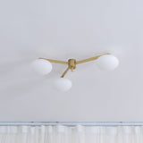 Modern Ceiling Light  Brass Arms White Glass Shades - Product detail 12