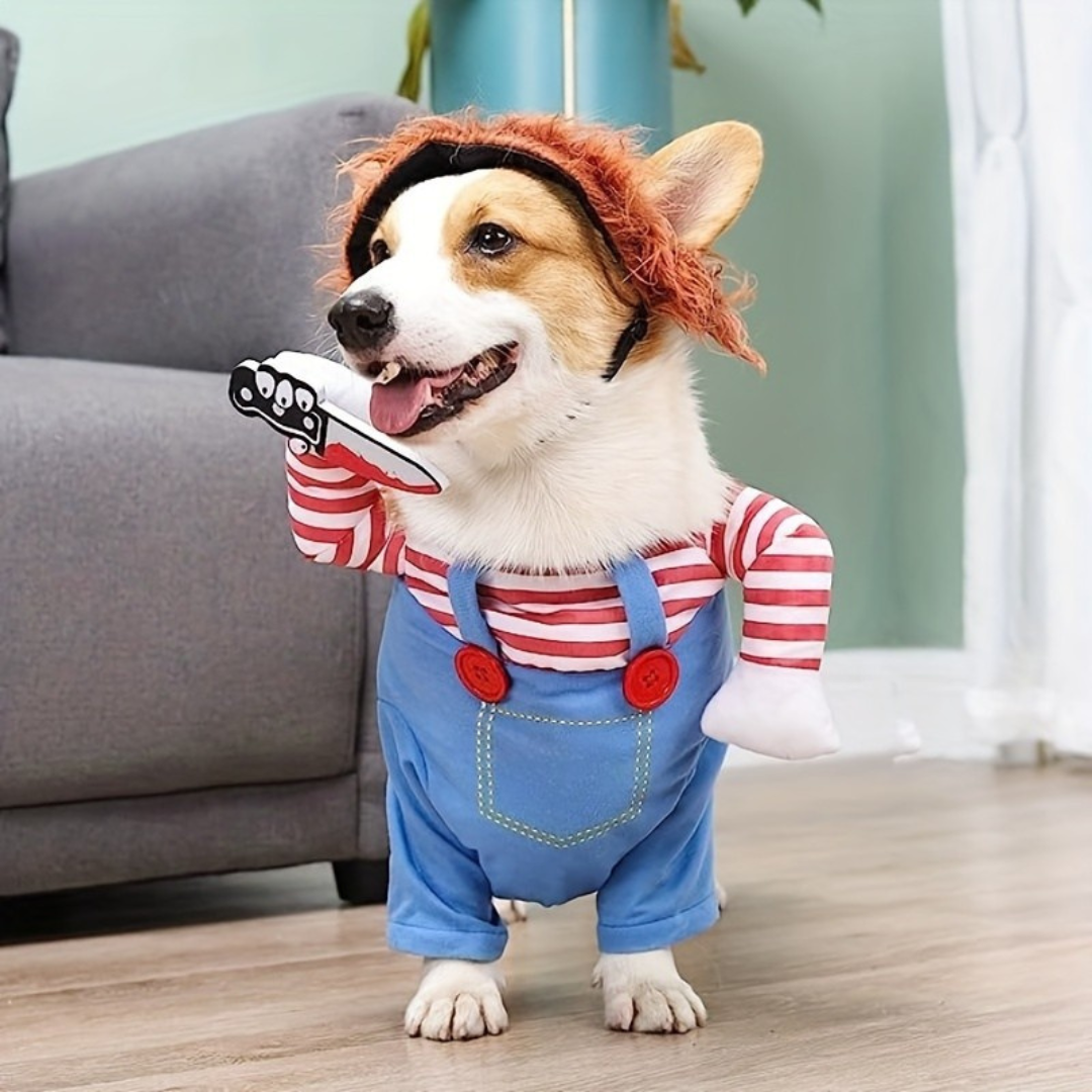 Pet Halloween Costume  Striped Overalls with Wig Design - Detailed view