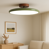 Modern Ceiling Light  Adjustable LED with Sage Green Frame - Product detail 4