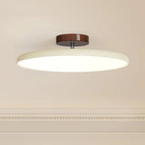 Modern Ceiling Light  Adjustable LED with Sage Green Frame - Product detail 7