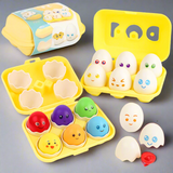 Color Matching Egg Toy  Educational Montessori Learning Set - Detailed view
