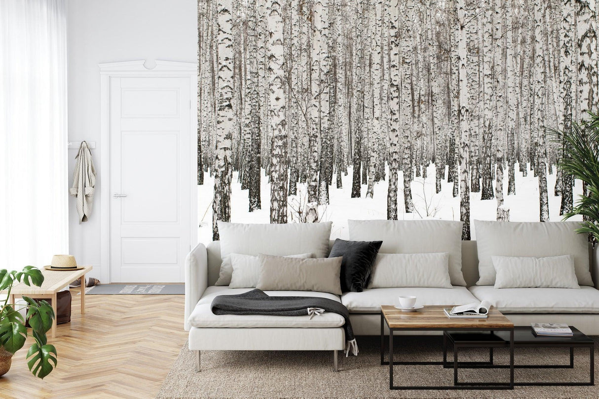 Forest Mural Wallpaper | Winter Birch Trees in Snow