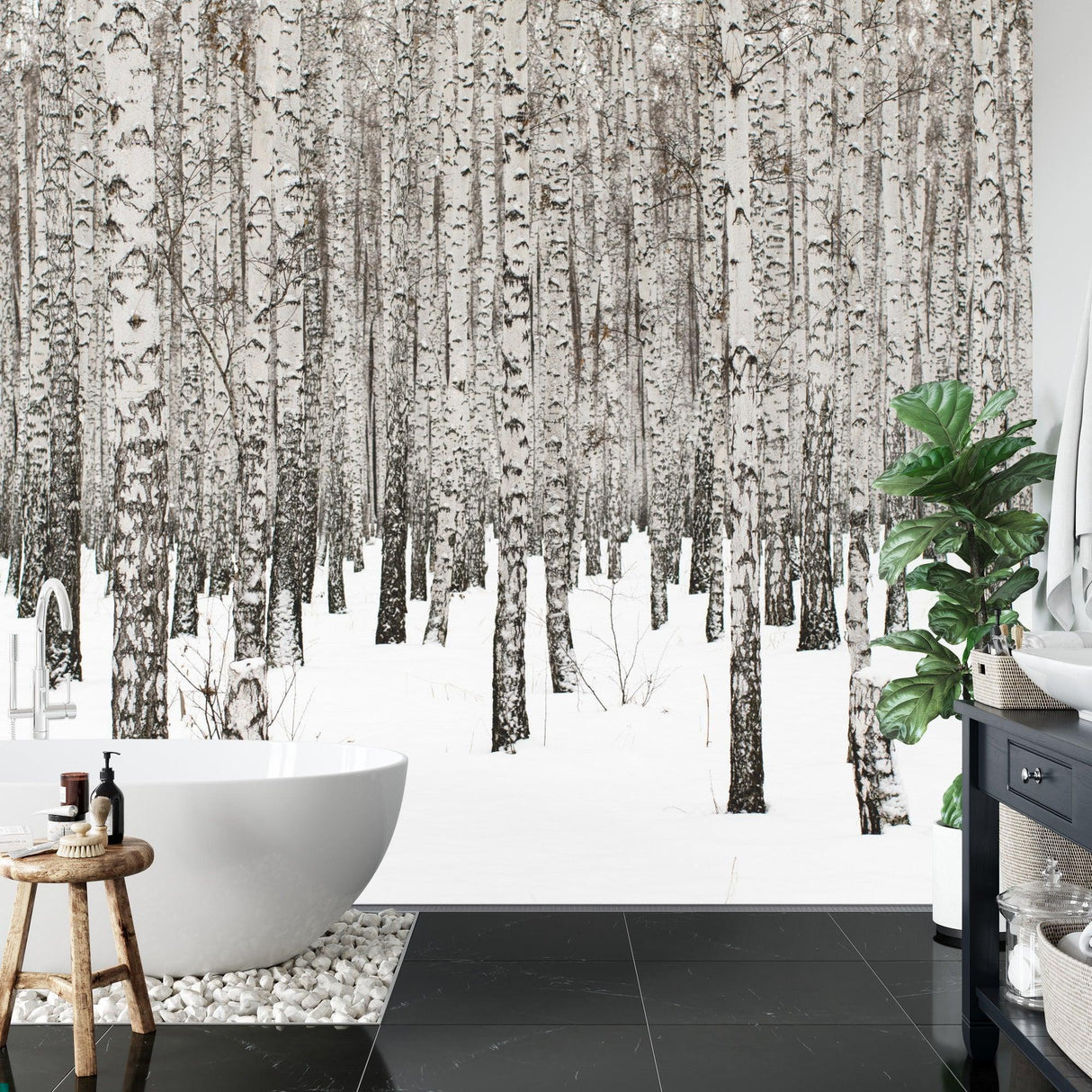 Forest Mural Wallpaper | Winter Birch Trees in Snow