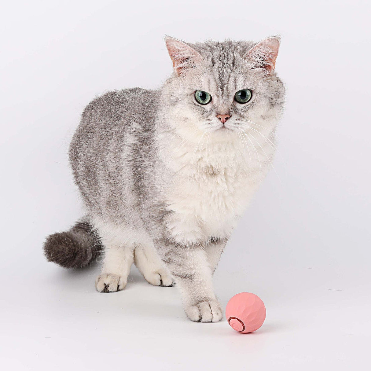 Interactive Cat Toy Ball  Self-Rolling Motion Activated - Product example