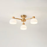 Modern Ceiling Light  Natural Wood  Glass Chandelier - Product detail 20