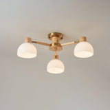 Modern Ceiling Light  Natural Wood  Glass Chandelier - Product detail 38