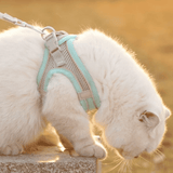 Mesh Cat Harness  Adjustable Safety Design - Detailed view