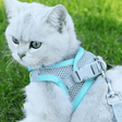 Mesh Cat Harness  Adjustable Safety Design - Product showcase