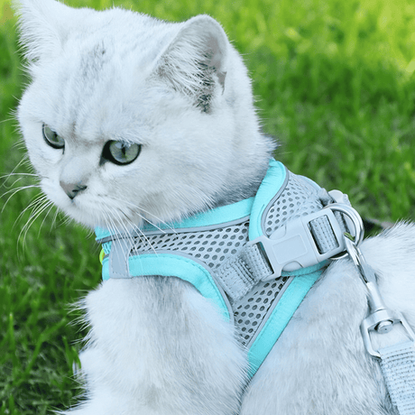 Mesh Cat Harness  Adjustable Safety Design - Product showcase