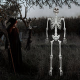 Giant Life Size Skeleton  12 Ft Halloween Decoration with Posable Joints - Product showcase