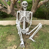 Giant Life Size Skeleton  12 Ft Halloween Decoration with Posable Joints - Detailed view
