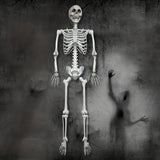Giant Life Size Skeleton  12 Ft Halloween Decoration with Posable Joints - Product example