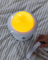 Egg Shape Table Lamp  Portable LED Touch Light - Product detail 8