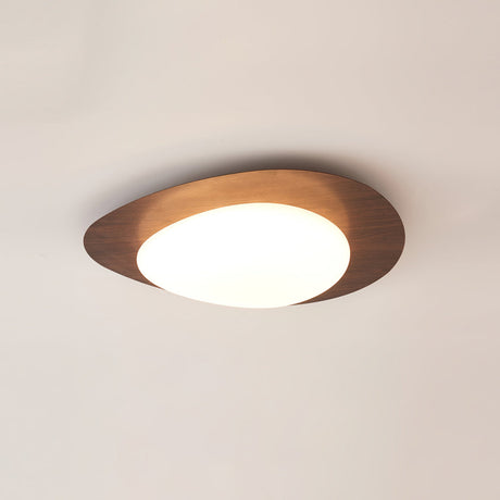 Modern LED Ceiling Light  Natural Wood Frame Design - Product detail 26