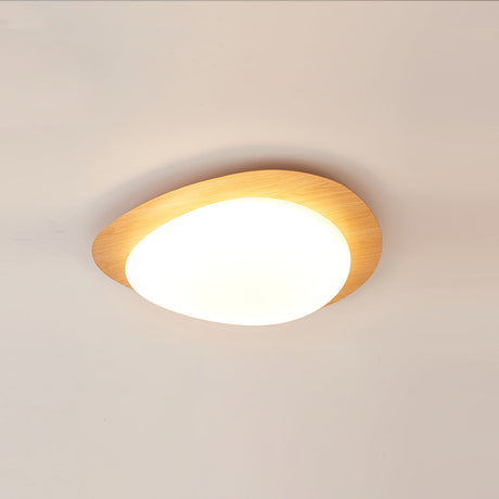 Modern LED Ceiling Light  Natural Wood Frame Design - Product detail 25