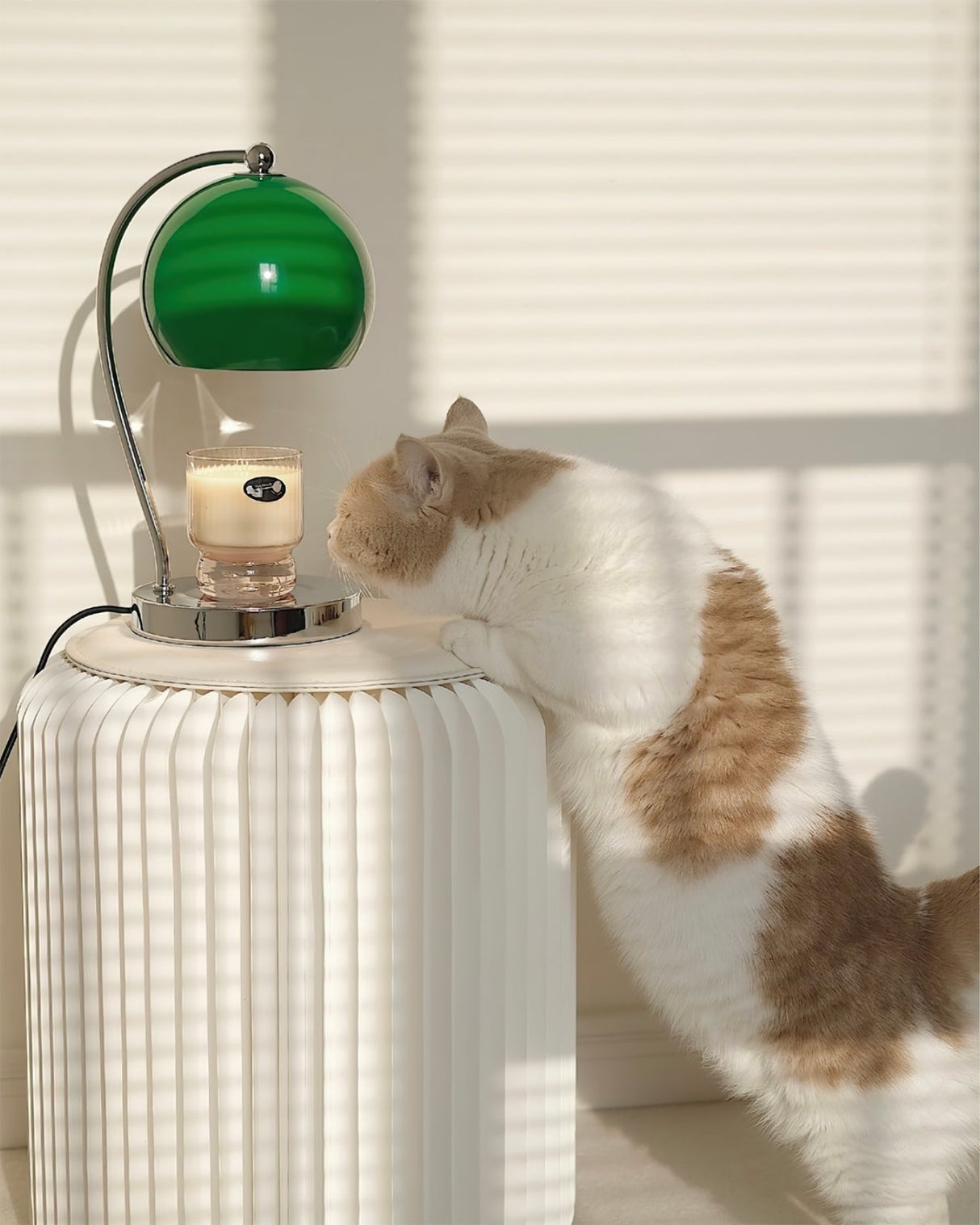 Modern Table Lamp  Glass Dome with Candle Platform - Product detail 8