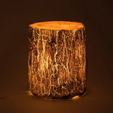 Rustic Garden Stump Light  LED Outdoor Path Lighting - Product example