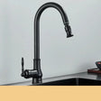 Vintage Kitchen Faucet  Antique Brass Swivel Design - Product detail 6
